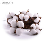 10 Pcs 5Cm White Cotton Head Natural Kapok Head Dried Flower Decor For Wedding Home Supplies Diy Accessories Artificial Flower