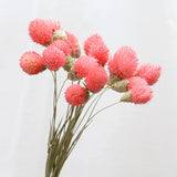 15pcs Colorful Natural Dried Flower Bouquet Strawberries Grass DIY Handmade Handicraft Artificial Flower Home Decor Photp props