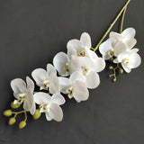 2 Fork 3D6 Head Feel Real Phalaenopsis Orchid Simulation Flower Wedding Decoration Christmas Party Home Decoration