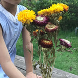 3-5CM Head/26CM,10 Flower Heads Dry Straw Chrysanthemum Branch,Decorative Daisy Dried Natural Sunflower Bouquet For Home decor
