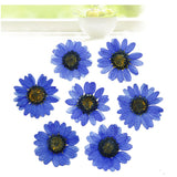 45pcs/Set Dried Flowers Nail Art Decorations Natural Daisy Preserved Dry Flower DIY Stickers Manicure Accessories