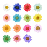 45pcs/Set Dried Flowers Nail Art Decorations Natural Daisy Preserved Dry Flower DIY Stickers Manicure Accessories
