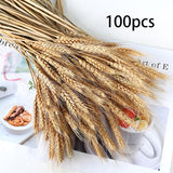 50-100Pcs Real Wheat Ear Flower Natural Dried Flowers For Wedding Party Decoration DIY Craft Scrapbook Home Decor Wheat Bouquet