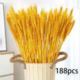 50-100Pcs Real Wheat Ear Flower Natural Dried Flowers For Wedding Party Decoration DIY Craft Scrapbook Home Decor Wheat Bouquet