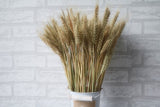 50Pcs Natural Dried Wheat Ears Fluffy Feather Ears Bouquet Diy Wedding Party Home Decoration Craft Scrapbook Dried Flower