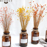 50Pcs Real Happy Flower Small Natural Dried Flowers Bouquet Dry Flowers Press Mini Decorative Photography Photo Backdrop Decor