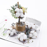 5Pcs 5CM Artificial Flowers  Cotton Bouquet Christmas Decorative Plants Wreaths Wedding Holding Home Decor Accessories