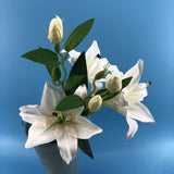 6 Heads/Branch Easter Vivid Artificial Lily Flower Plant Home Wedding Party Decor Nice gift for your friends