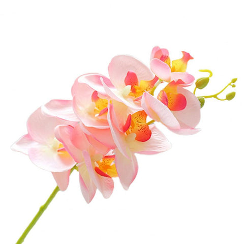 60% !!1Pc Artificial Flower Butterfly Orchid Desktop Decor Faux Silk Flower Parties Decorative Simulation Plant for