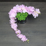 60cm Cherry blossom Vine Sakura Artificial flowers for party Wedding ceiling decor wall Hanging rattan fleur Can be lengthened