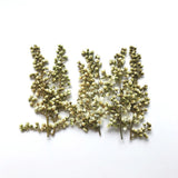 6pcs/Lot Dried Flowers for Resin Jewellery Mold Filling Material Diy Art Craft Decor Stem Leaf Pearl Bud Earrings Epoxy Frame