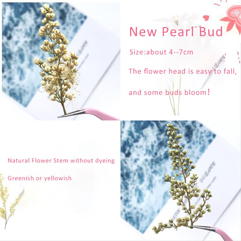 6pcs/Lot Dried Flowers for Resin Jewellery Mold Filling Material Diy Art Craft Decor Stem Leaf Pearl Bud Earrings Epoxy Frame