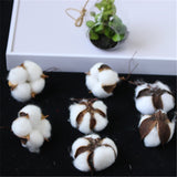 6pcs/bag Artificial Dried cotton flower simulation flower DIY wedding decoration for home party office