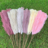 85cm Artificial Pampas Grass Bouquet DIY Vase Holiday Wedding Party Home Decoration Real Touch Simulation Flower Reed Supplies 7