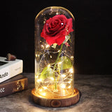 Brown base with Beauty And The Beast Red Rose In A Glass Dome LED Fairy Flower Lights Wedding Party Valentine's Day Gift For MOM