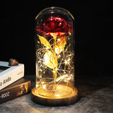 Brown base with Beauty And The Beast Red Rose In A Glass Dome LED Fairy Flower Lights Wedding Party Valentine's Day Gift For MOM