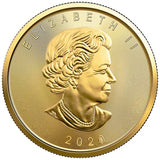 Canada 20 Dollars Gold Coins Canadian Maple Leaf Commonwealth Queen Coin Commemorative Coin Gift Token
