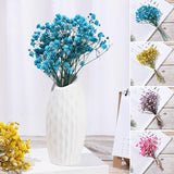 Colorful Natural Dried Flowers Small Natural Dried Floral Plants Mini Real Bouquets Home Decoration Photography Props Art Craft