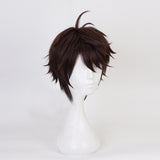 Haikyuu!! Oikawa Tooru Cosplay Wig 35cm Short Straight Heat Resistant Synthetic Hair Wig Man Boy Anime Costume Party Wig Brown