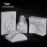 Human Facial Features Sculpture Painting Anti Breaking Pvc Decor Ear Nose Eye Mouth Sketch Still Life Imitation Plaster Crafts