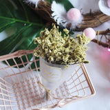 Mini Starry Sky Dried Natural Flowers Bouquet Florist Supplies Gift Giving On Valentine's Day And Mother's Day For Home Decor