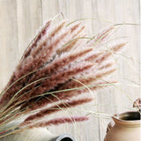 Natural Pampas Grass Phragmites Communis Dried Reed Flower Arrangement Bulrush Bouquets Plumas Decorativas  Home Party Decor