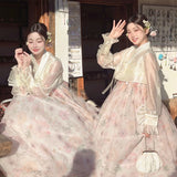 Palace Korean Traditional Costume for Women Elegant Luxury Hanbok Dress Princess Cosplay Anicent Retro Long Robe Wedding Party