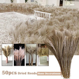 Pampas Grass Decor White Color Fluffy Natural Dried Flowers Bleached Bouquet Boho Vintage Style For Wedding Home Christmas Decor