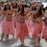 Plastic Fibers Women Grass Skirts Hula Skirt Hawaiian costumes 60CM Ladies Dress Up 6PCS /set