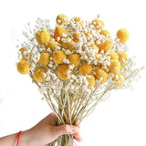 Real Dried Pampas Grass Wedding Flower Bunch Natural Plants Home Decor Dried Artificial Flowers Phragmites Golden Ball Pompom