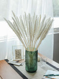 Real Dried Pampas Grass Wedding Flower Bunch Natural Plants Home Decor Dried Artificial Flowers Phragmites Golden Ball Pompom